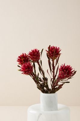 Dried Plumosum Bouquet