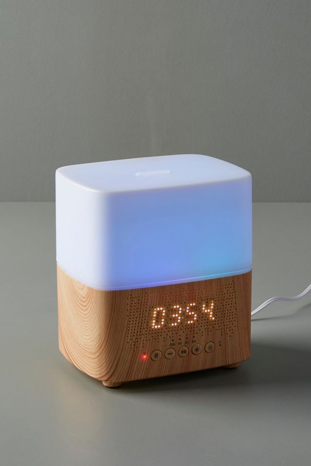 Diffuser With Built-In Speaker #1