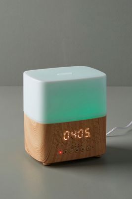 Diffuser With Built-In Speaker