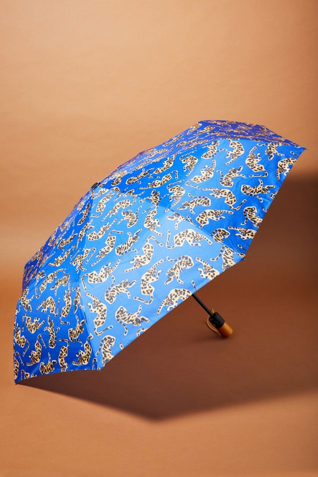 Colloquial Umbrella