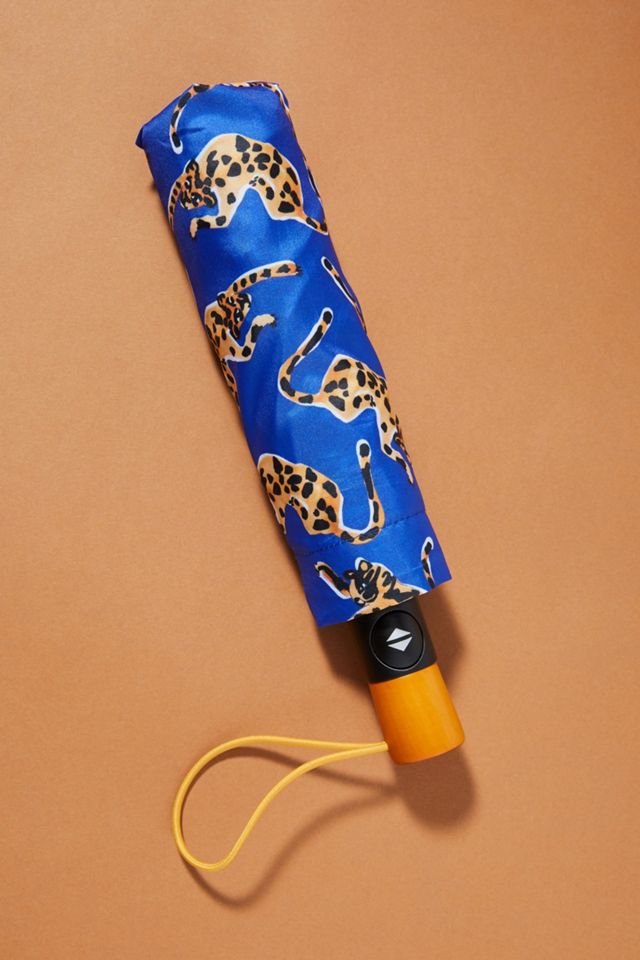 Colloquial Umbrella #2