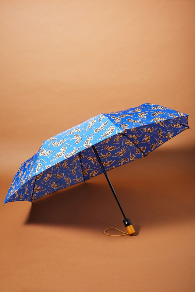 Colloquial Umbrella #1