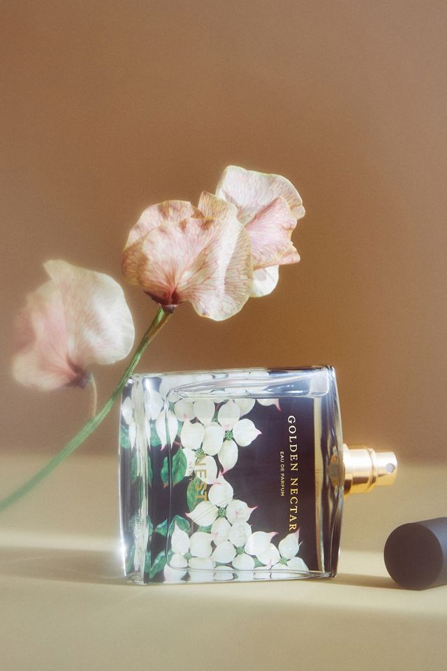 NEST New York Fragrances Eau De Parfum #1