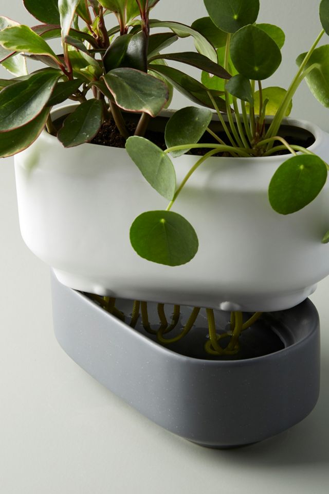 Chef'n Self-Watering Herb Planter #1
