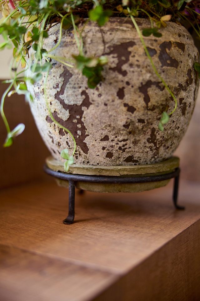 Matte Black Plant Stand, Tall #2