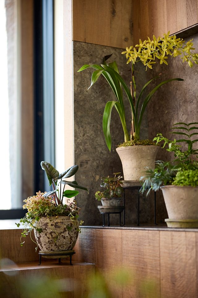 Matte Black Plant Stand, Tall #1