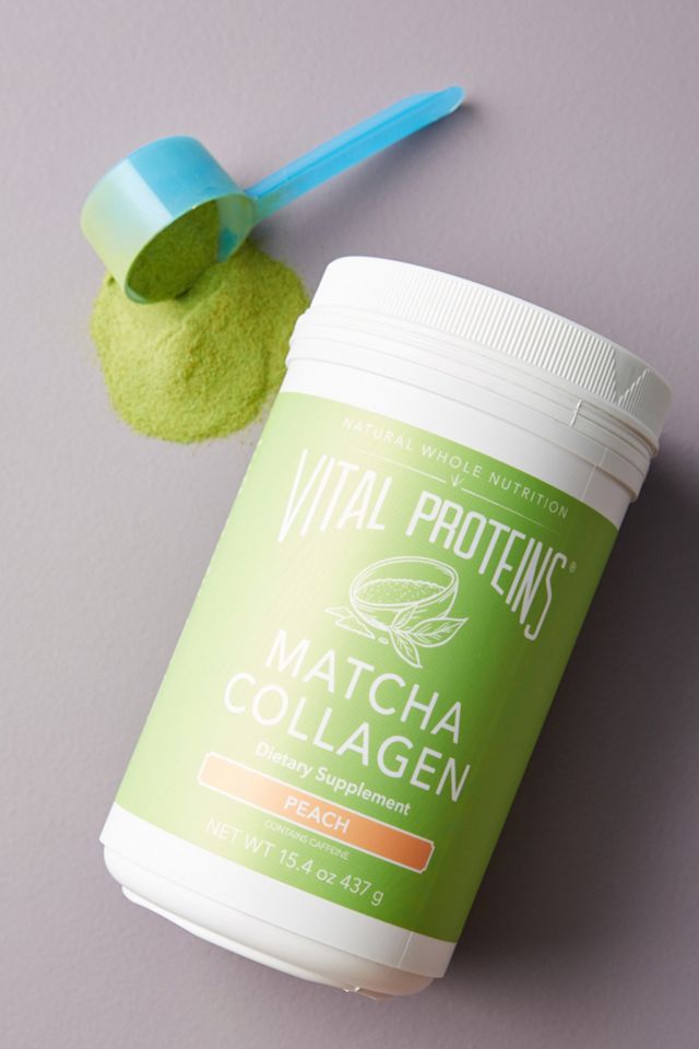 Vital Proteins Matcha Collagen Peptides Powder Supplement, L-theanine &  Caffeine, Matcha Green Tea Powder, 12oz, Original Flavored