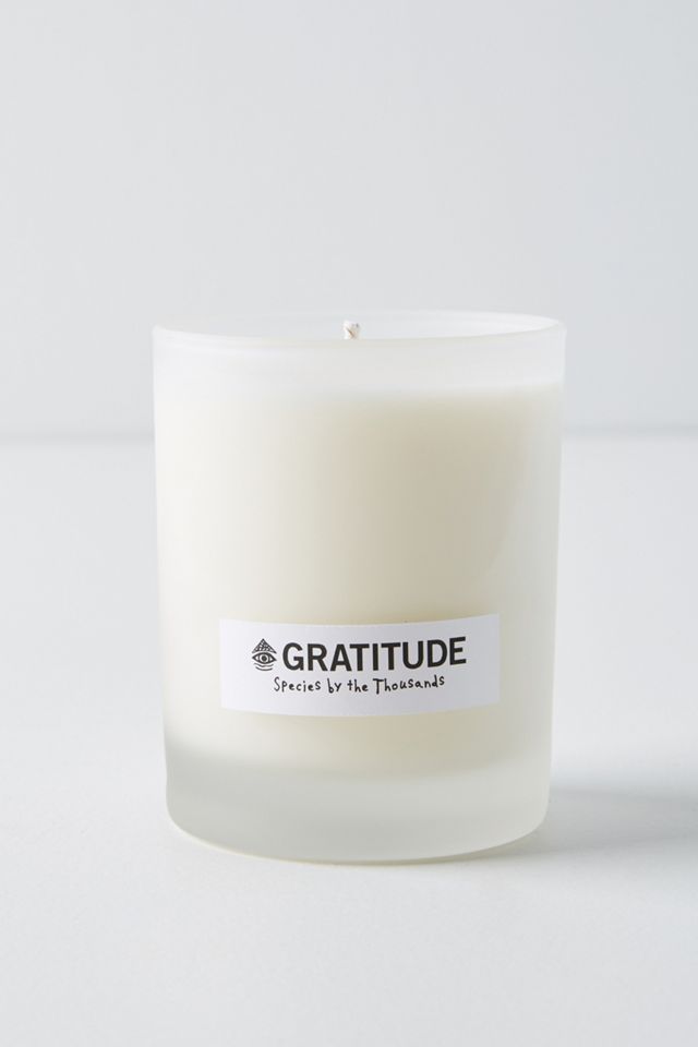 Species by the Thousands Crystal Candle #1