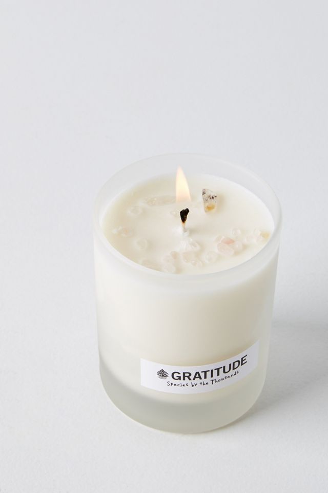 Species by the Thousands Crystal Candle