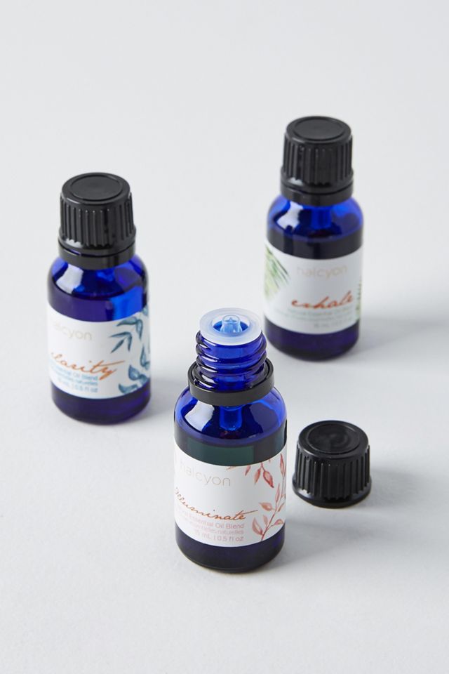 Halcyon Essential Oils, Set of 3