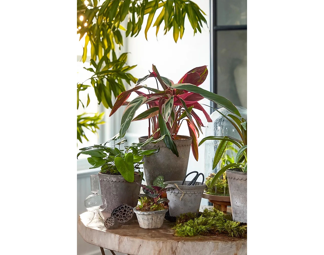 Bergs Copenhagen Terracotta Pot + Saucer Set