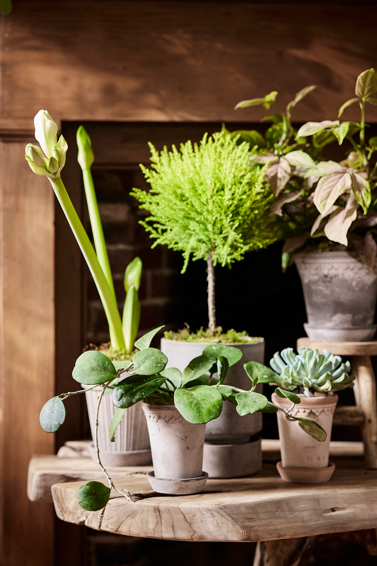 Bergs Copenhagen Terracotta Pot + Saucer Set