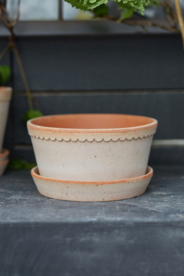 Terrain Helena Terracotta Bowl + Saucer Set In Neutral