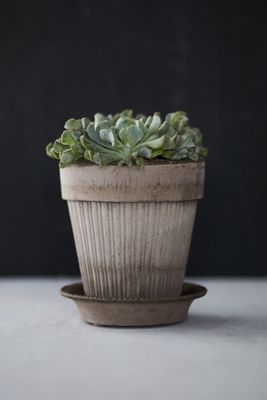 Bergs Simona Terracotta Pot + Saucer Set