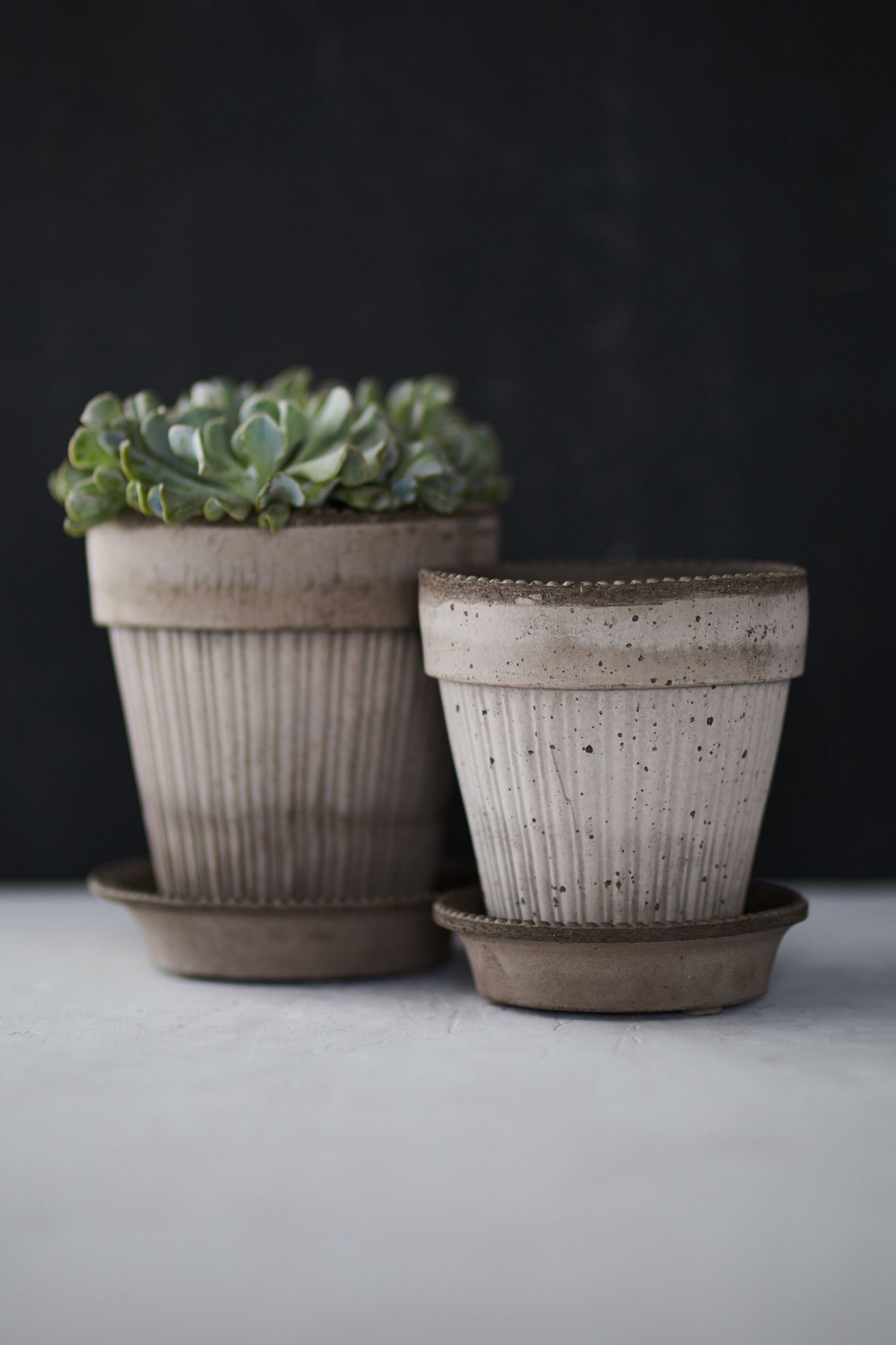 Bergs Simona Terracotta Pot + Saucer Set - Grey, Standard, 7"
