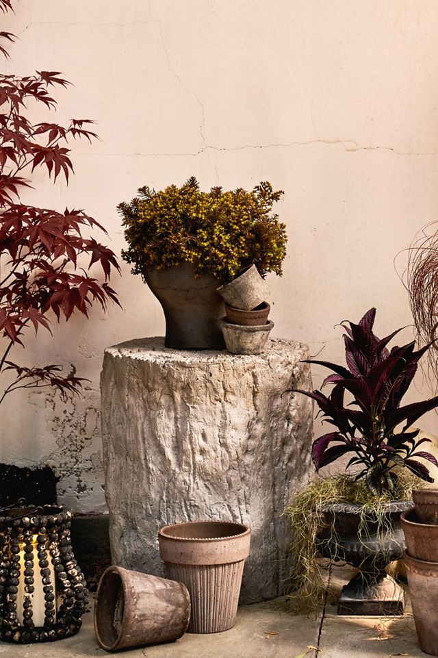 Bergs Simona Terracotta Pot + Saucer Set | Terrain