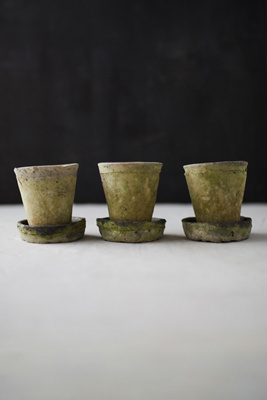 Terrain Earth Fired Clay Herb Pot + Saucer, Set Of 3