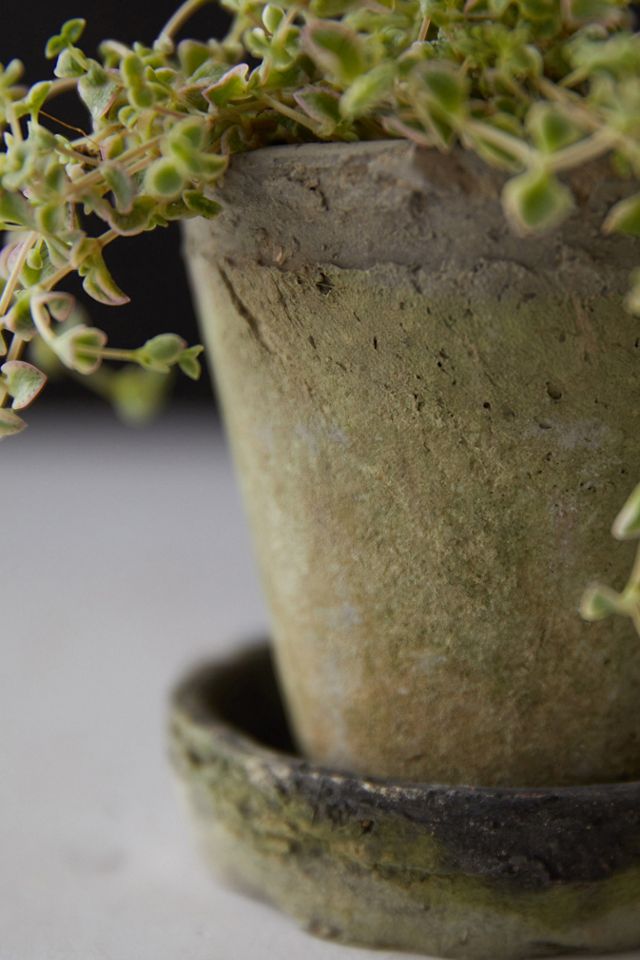 Earth Fired Clay Herb Pot + Saucer, Set of 3 #2