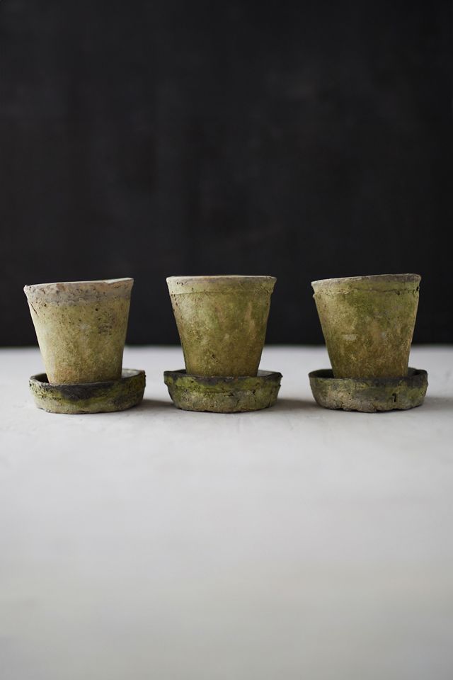 Earth Fired Clay Herb Pot + Saucer, Set of 3 #1
