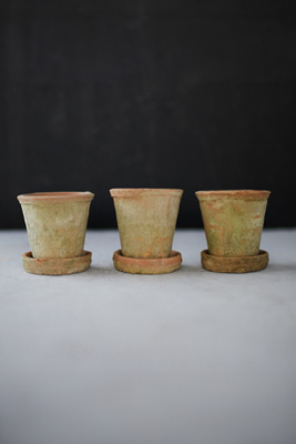 Terrain Earth Fired Clay Herb Pot + Saucer, Set Of 3