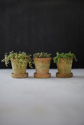 Earth Fired Clay Herb Pot + Saucer, Set of 3