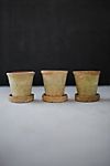 Earth Fired Clay Herb Pot + Saucer, Set of 3 #2
