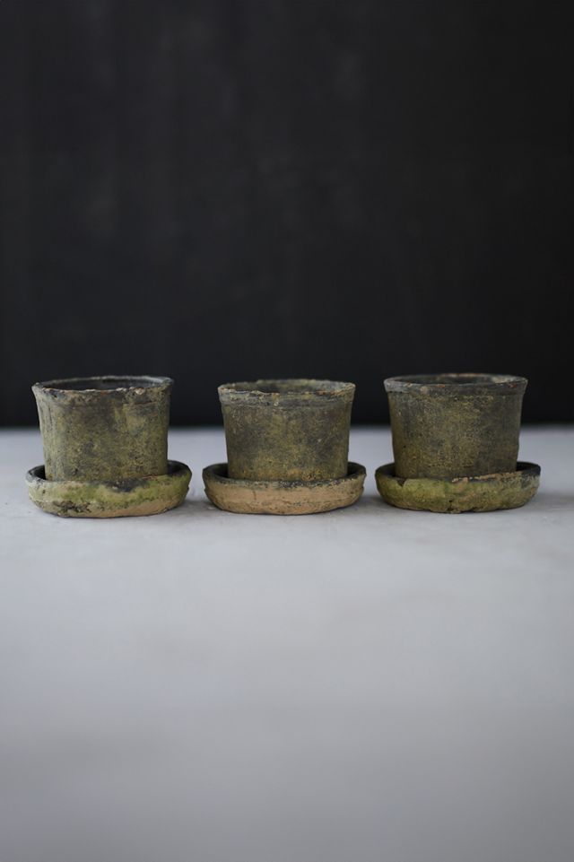 Earth Fired Clay Mini Pot + Saucer, Set of 3 #2