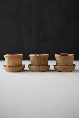 Shop Terrain Earth Fired Clay Mini Pot + Saucer, Set Of 3