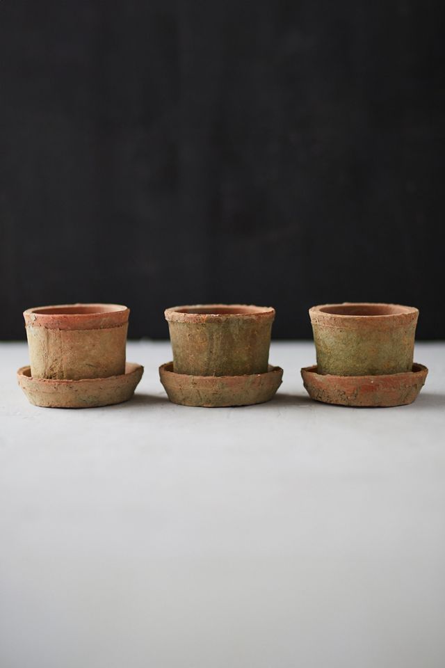 Earth Fired Clay Mini Pot + Saucer, Set of 3 #2