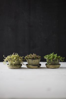 Earth Fired Clay Thin Rim Pot + Saucer, Set of 3