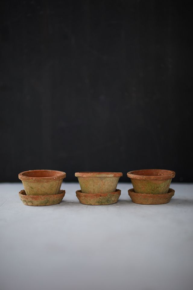 Earth Fired Clay Pot + Saucer, Set of 3