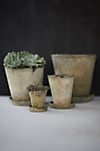 Earth Fired Clay Herb Pot + Saucer Set #1