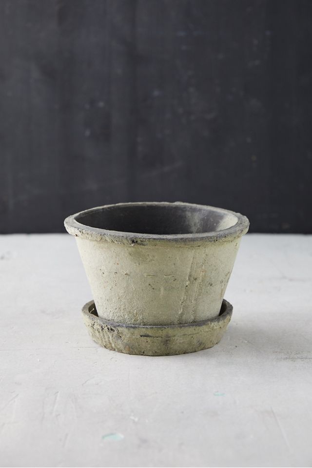 Earth Fired Clay Thin Rim Pot + Saucer Set #2