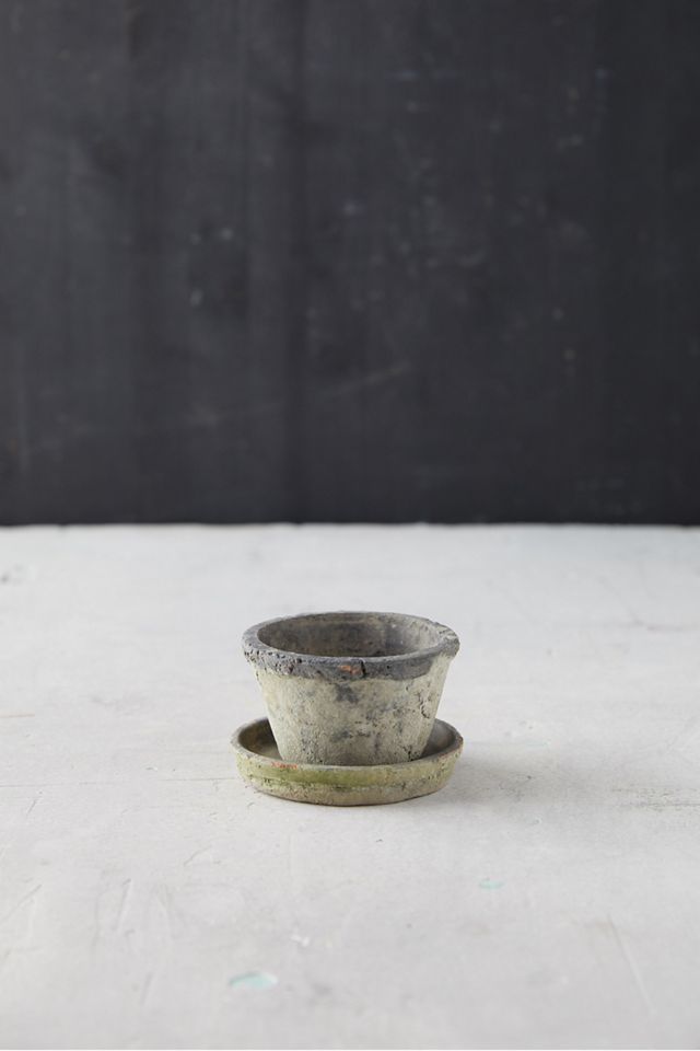 Earth Fired Clay Thin Rim Pot + Saucer Set #3
