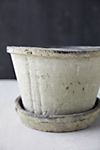 Earth Fired Clay Thin Rim Pot + Saucer Set #4