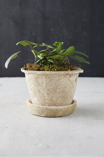 Barnacle Fiber Concrete Curved Jar Planter