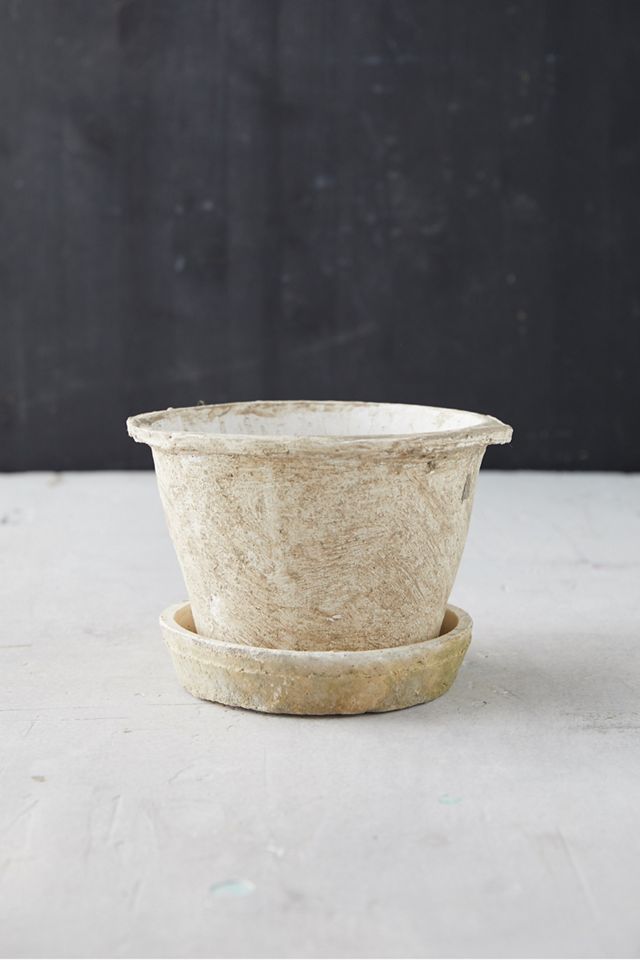 Earth Fired Clay Thin Rim Pot + Saucer Set #3