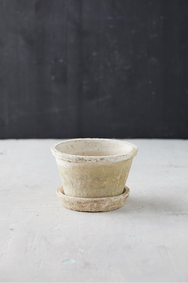 Earth Fired Clay Thin Rim Pot + Saucer Set #4