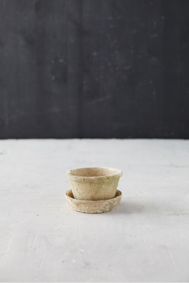 Earth Fired Clay Thin Rim Pot + Saucer Set #5