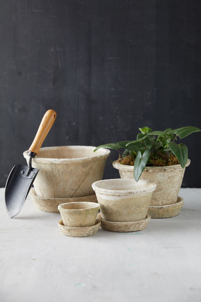Earth Fired Clay Thin Rim Pot + Saucer Set #1