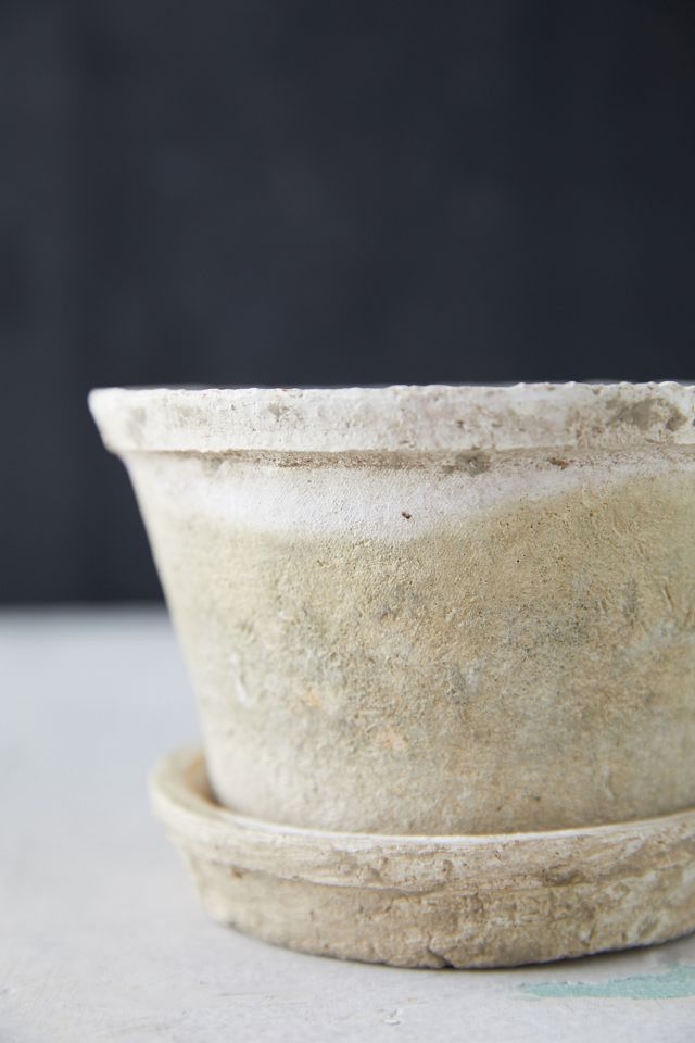 Earth Fired Clay Thin Rim Pot + Saucer Set #6