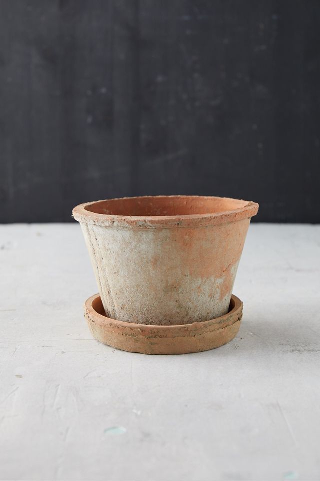 Earth Fired Clay Thin Rim Pot + Saucer Set #2