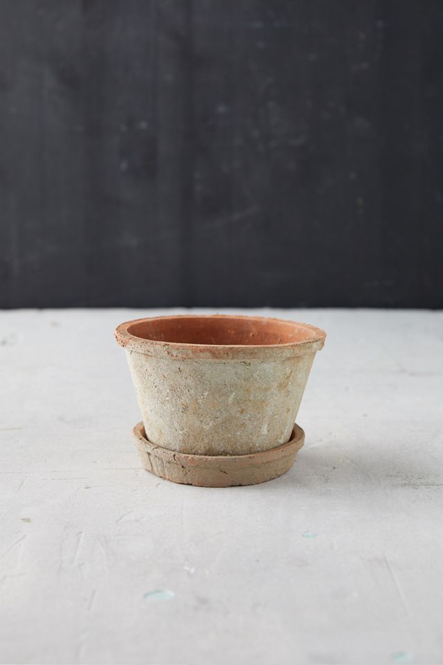 Earth Fired Clay Thin Rim Pot + Saucer Set #3