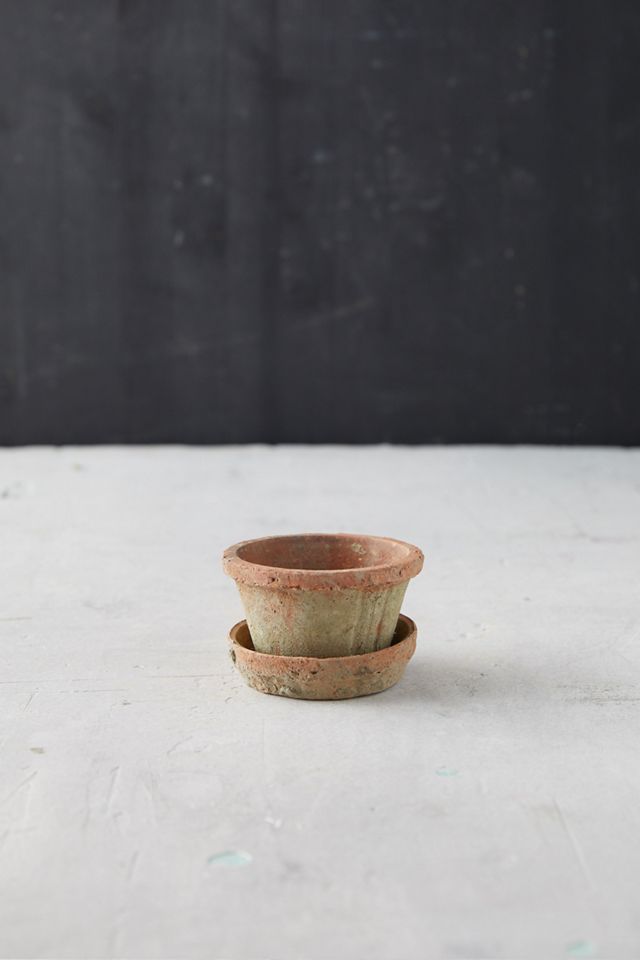 Earth Fired Clay Thin Rim Pot + Saucer Set #4