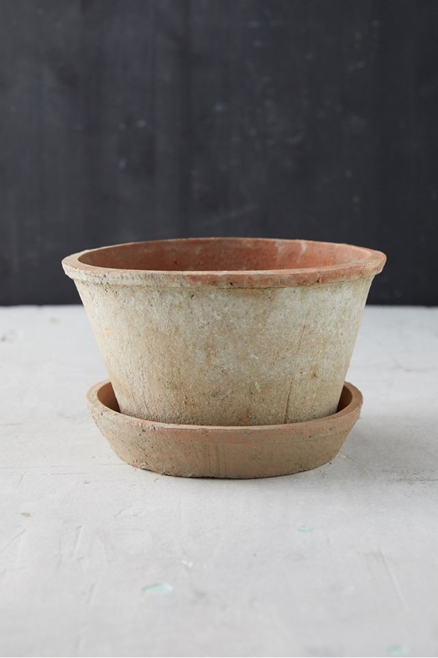 Earth Fired Clay Thin Rim Pot + Saucer Set #1