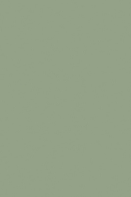 Breakfast Room Green No.81 - 1 Gallon | Anthropologie