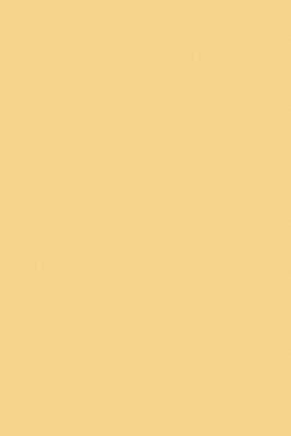 Yellow Ground No.218 - 1 Gallon