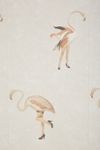 Legs Eleven Flamingo Bird Wallpaper
