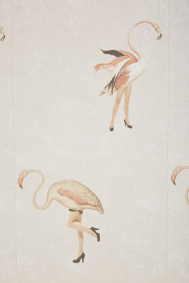 Legs Eleven Flamingo Bird Wallpaper #2