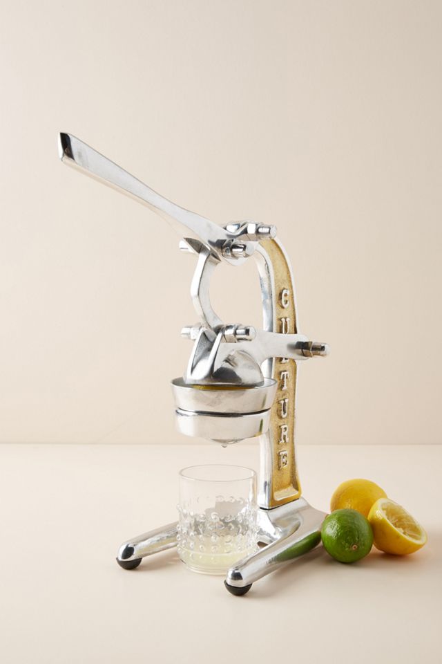 Shop Verve Culture Mexican Citrus Juicer - Large